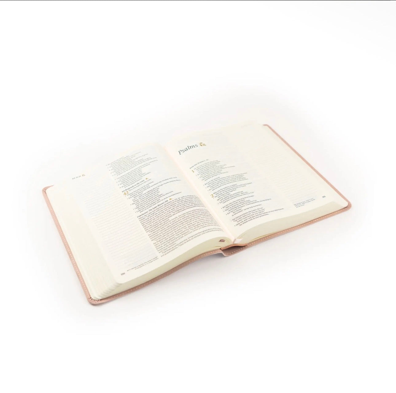 NLT Note Taking Bible: Flourish