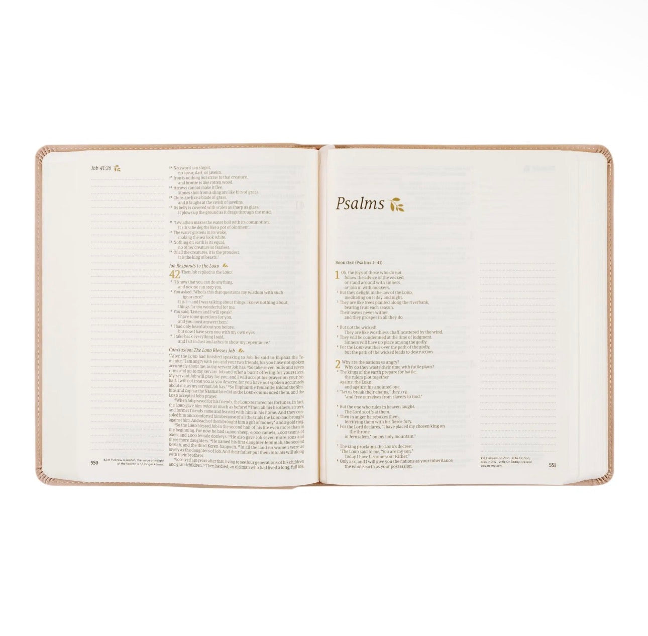 NLT Note Taking Bible: Flourish