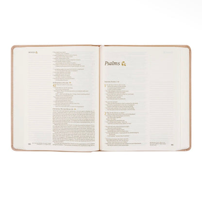 NLT Note Taking Bible: Flourish