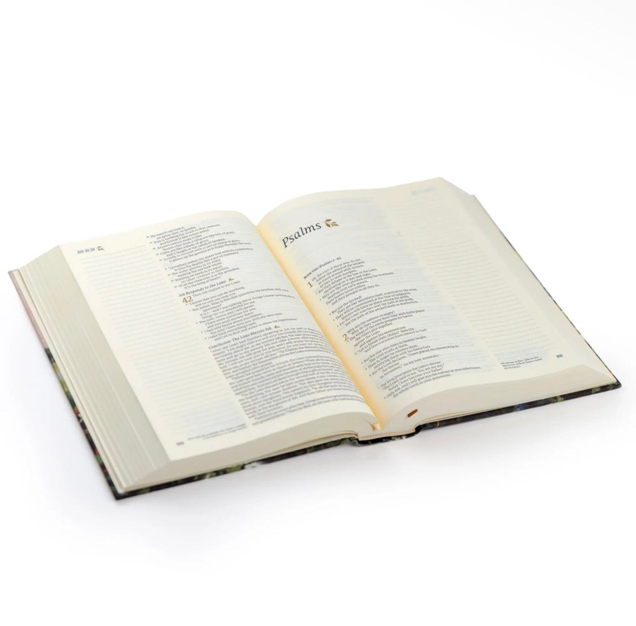 NLT Note Taking Bible: Soft Sky