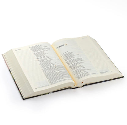 NLT Note Taking Bible: Soft Sky