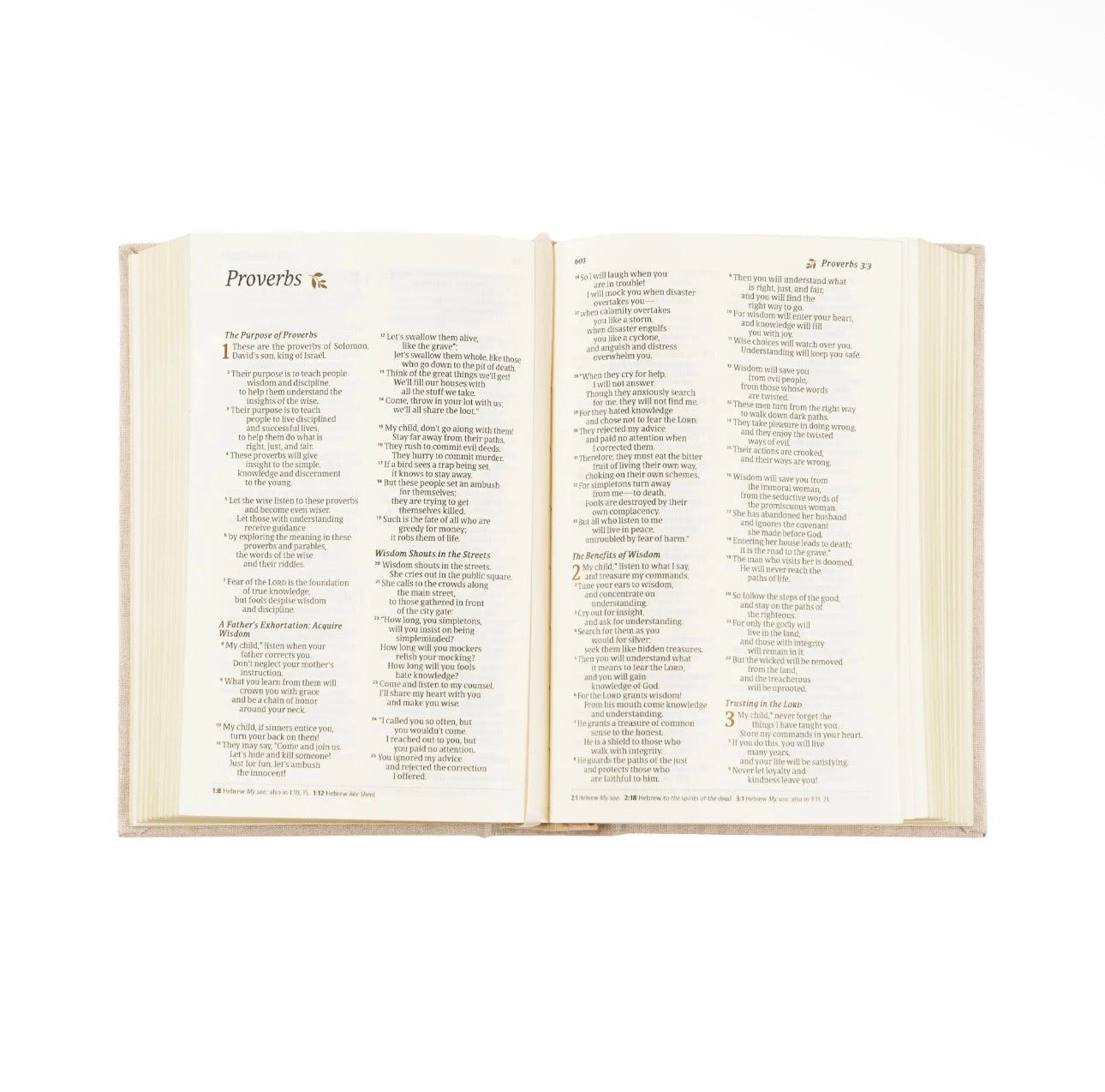NLT Compact Bible: Garden