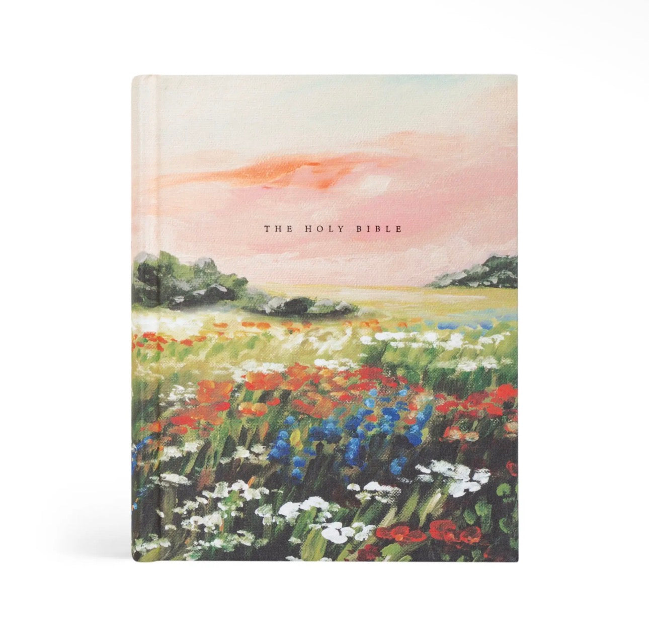NLT Note Taking Bible: Soft Sky