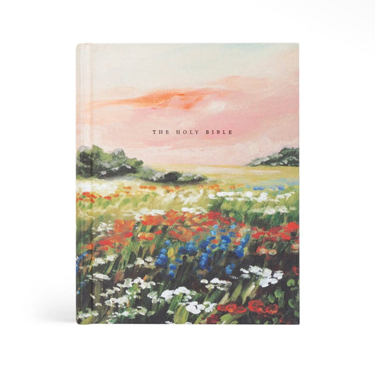 NLT Note Taking Bible: Soft Sky