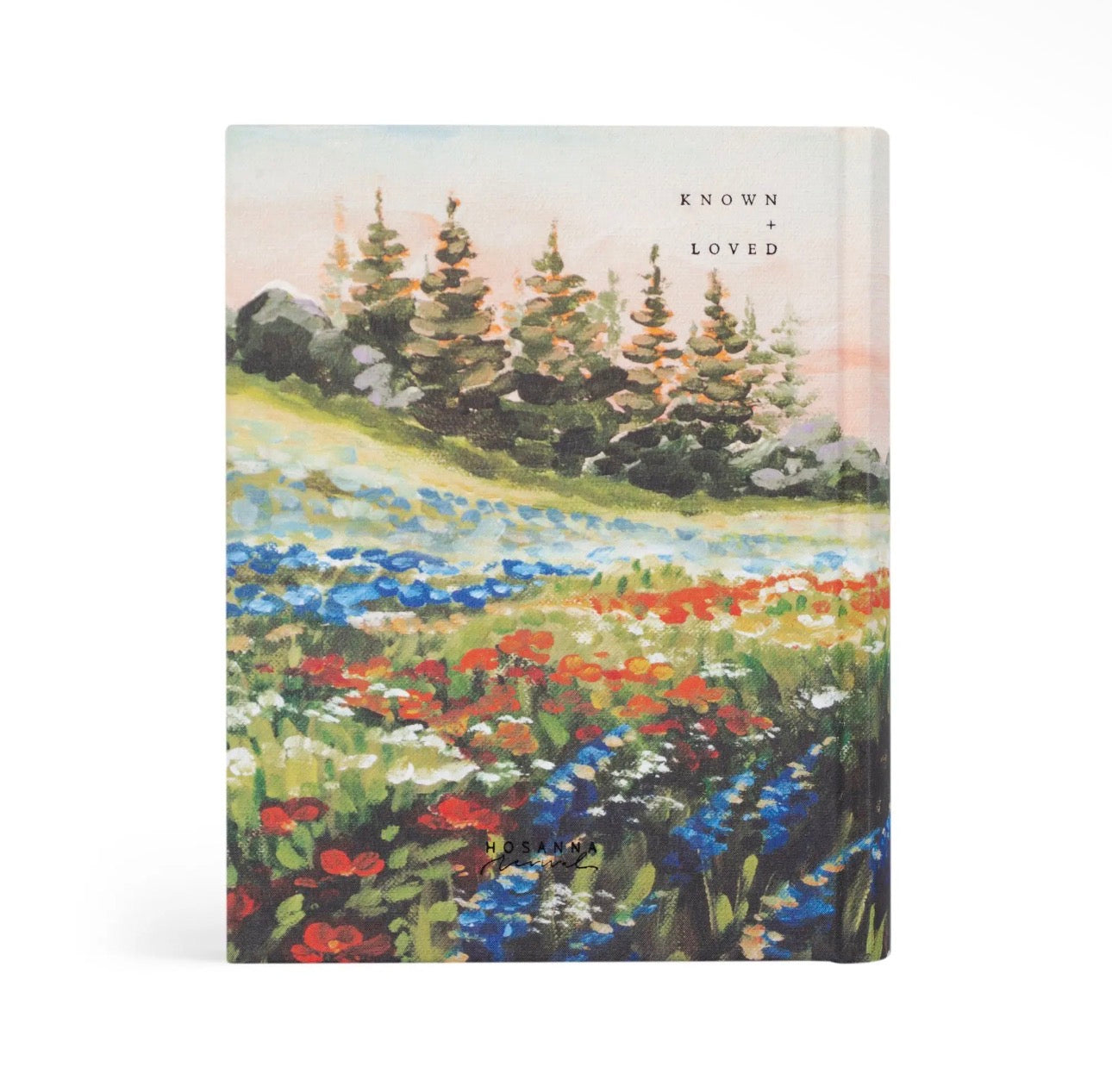 NLT Note Taking Bible: Soft Sky