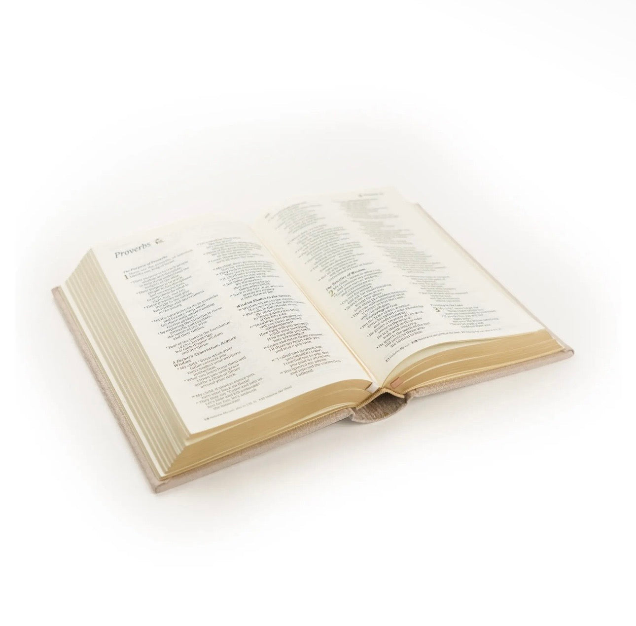 NLT Compact Bible: Garden