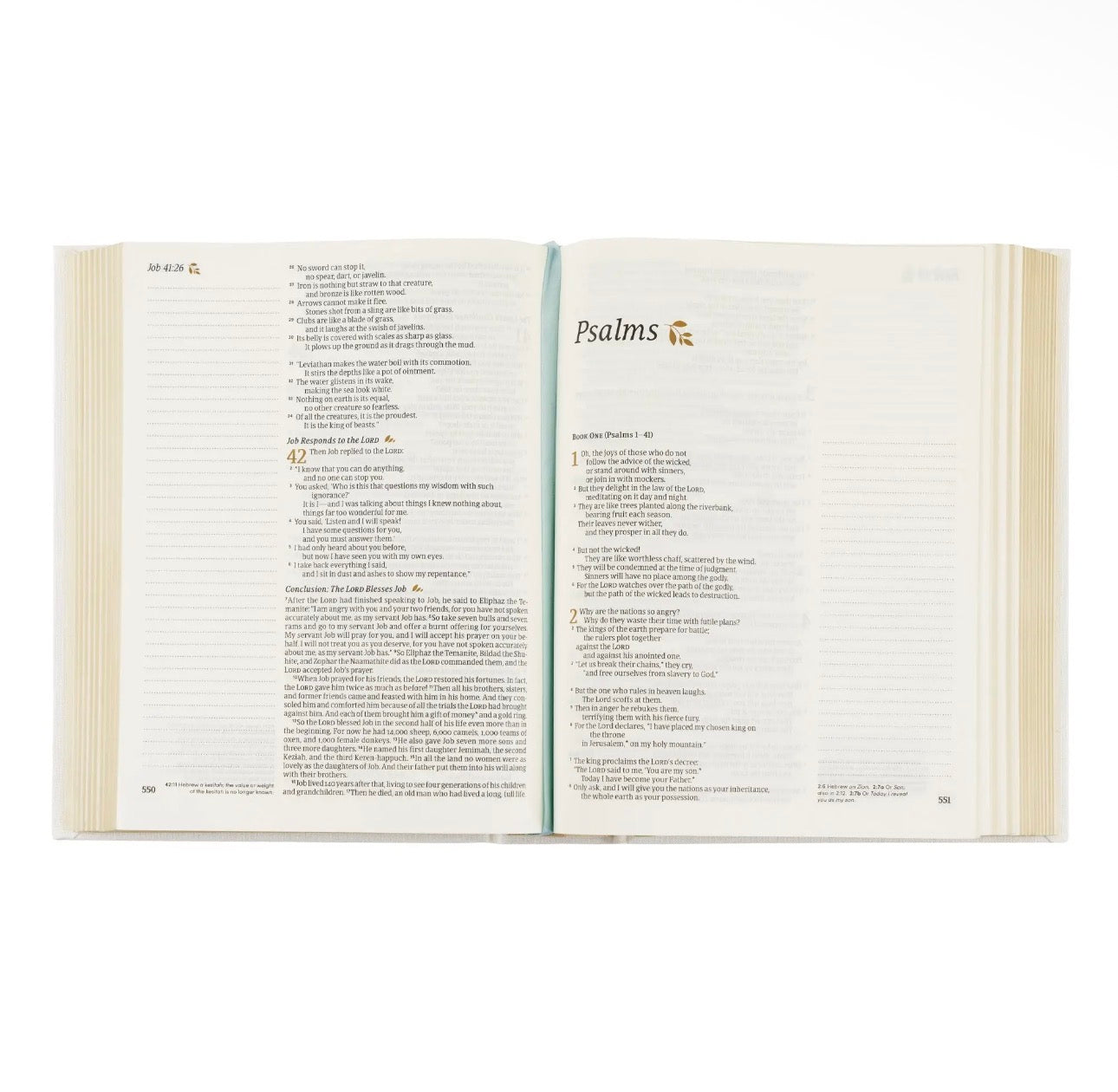 NLT Note Taking Bible: Wildflower Embroidered